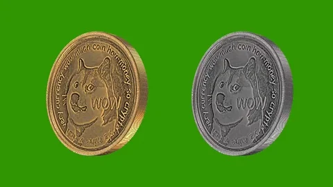 DOGE metal coin Stock Footage