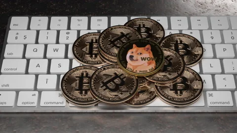 DOGECOIN &amp; BITCOIN on keyboard Stock-Footage 175536168
