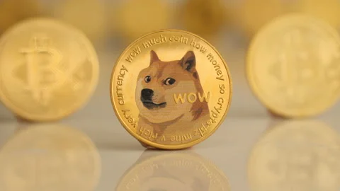 Dogecoin in front of bitcoins. Close up. Stock Footage 155056567