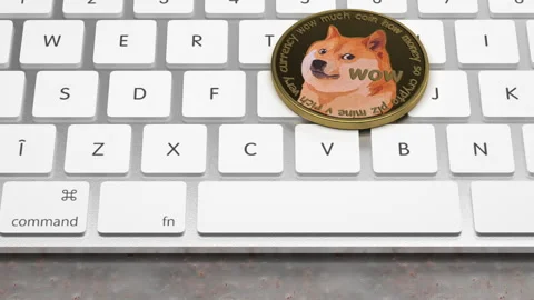 DOGECOIN on Keyboard Stock-Footage 175481074