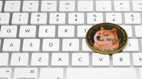DOGECOIN on keyboard Stock-Footage 175482572