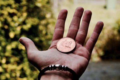 Dogecoin in man hand Stock Photos