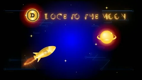 Dogecoin to the moon with rocket illustration Stock Footage 162938053