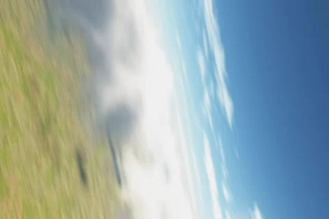 Dogfight Stock Footage 83248