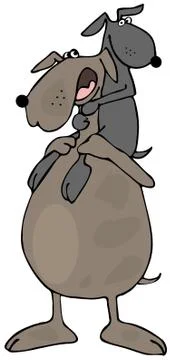 Doggy daddy Illustrazione stock