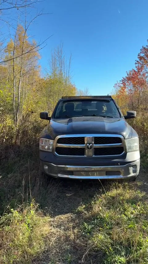 Doggy Driver Pulled Over, Woodstock New Brunswick, Canada - 18 Oct 2025 Stock Footage 327931817