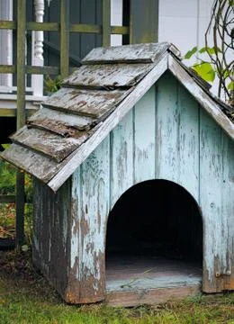 Doghouse Stock Photos
