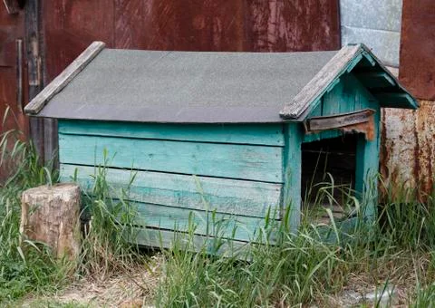 Doghouse Stock Photos