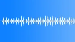 DOG,LARGESound Effect