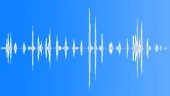 DOG,MEDIUM Sound Effect