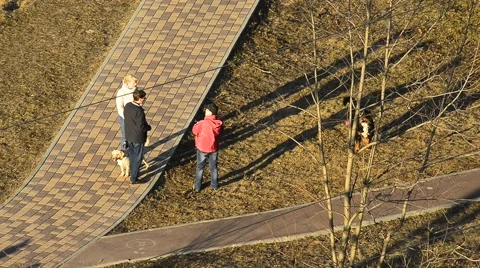 Dogowners in park Stock Footage 52086785