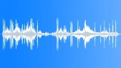 DOG,RACE Sound Effect