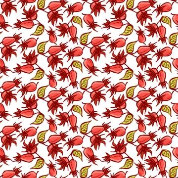 Dogrose berries seamless pattern. Vector background wild rose fruits with green Illustrazione stock