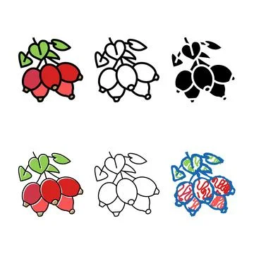 Dogrose berry color icon vector types Stock Illustration