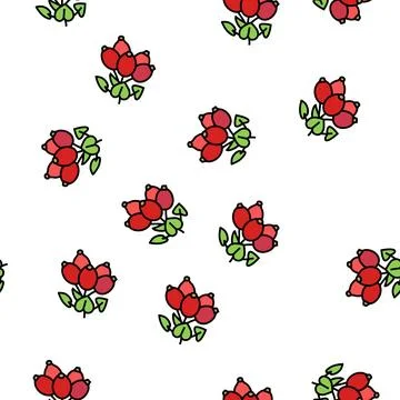 Dogrose berry vector seamless pattern Illustrazione stock