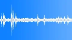Dogs and birds LOOP Sound Effect