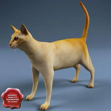 Dogs and Cats Collection ~ 3D Model #91483144 | Pond5