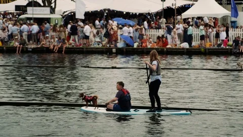 Dogs and kids float on paddle board Stock Footage 114063264