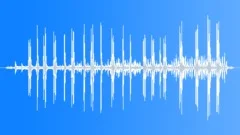 Dogs Barking Breed Unknown Sound Effect