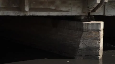 Dogs bathing in Polluted River Stock-Footage 55785863