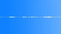 Dogs, Birds - Winter ambient, background loopSound Effect