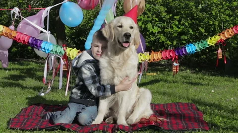 Dogs birthday. Stock Footage 49429634
