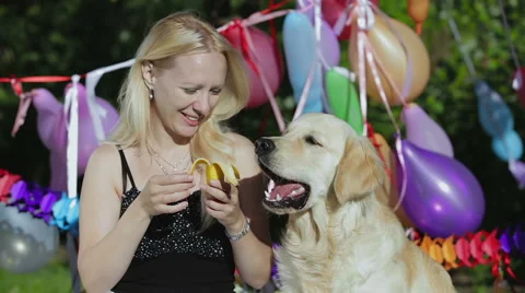 Dog's birthday. Stock Footage 49433532