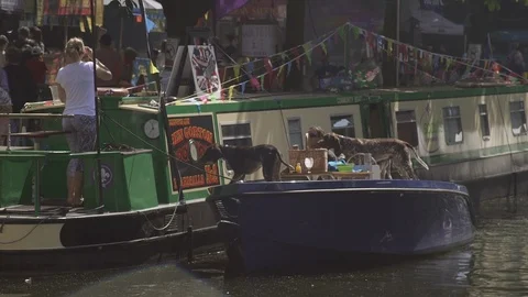 Dogs on boat on the Canal. Stock Footage 93201072