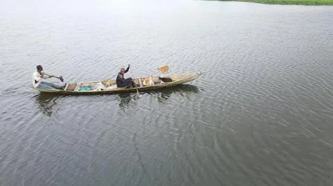 DOGS ON A CANOE Stock Photos