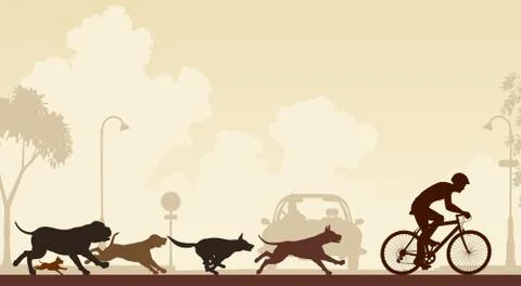 Dogs chasing cyclist Stock Illustration