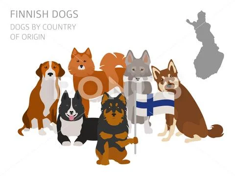 Dogs by country of origin. Finnish dog breeds. Infographic template ...