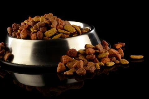 Dogs Dinner Serving Stock Photos