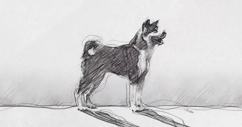 Dogs Evolution Timeline in Pencil Drawing Style 스톡 동영상 307067351