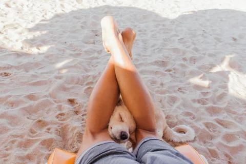 Dog's face between the legs of a man laying on the sunbed. Stock Photos