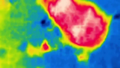 A dog's face twists in front of the camera infrared Stock Footage 328050221