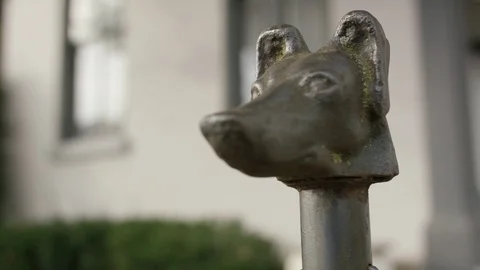 Dog's head hitching post. Video stock 102794837