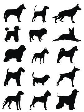 Dogs Stock Illustration