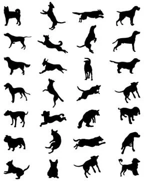 Dogs  Stock Illustration