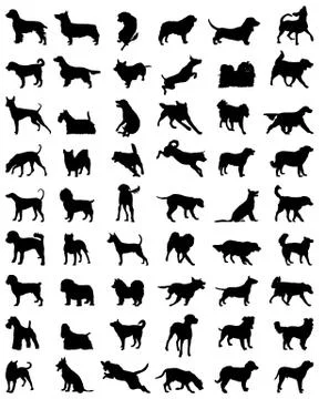 Dogs Stock Illustration