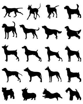 Dogs  Stock Illustration