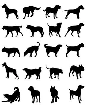 Dogs Stock Illustration