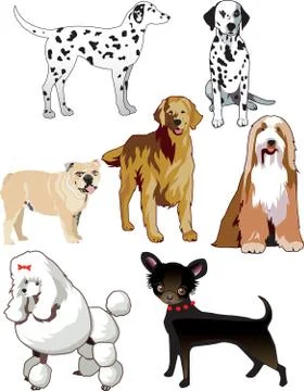 Dogs Stock Illustration
