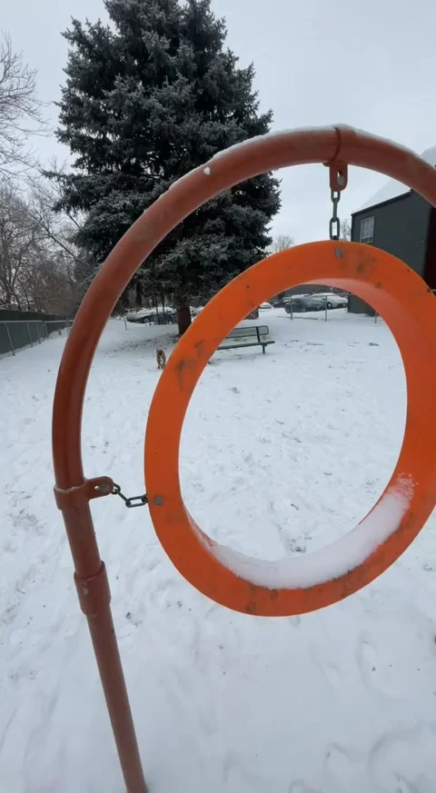Dog's Jump Through Hoop Ends With a Flip, Fort Collins, Colorado, USA - 22 Feb 2 Stock Footage 235199108