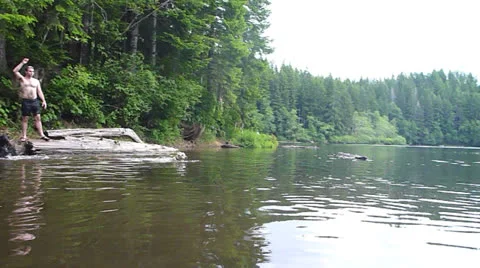 Dogs at the Lake 2 Stock Footage 24996830