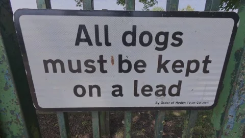 Dogs must be kept on lead sign. Hull.UK 6.5.2025 Stock Footage 313801230