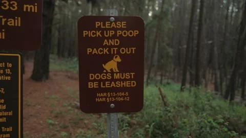 Dogs must be leashed brown sign in a forest with pine trees. Stock Footage 142303157