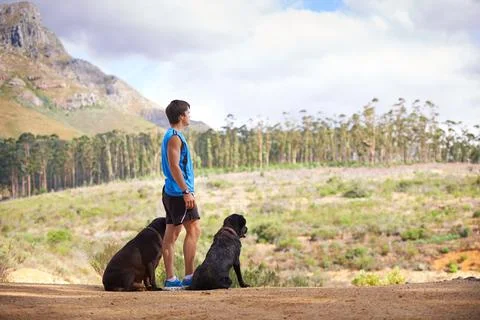 Dogs need their exercise too. a young man exercising outdoors with his dogs. Stock Photos