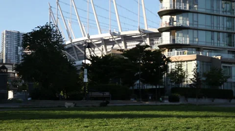 Dogs playing in front of Vancouver stadium Stock Footage 30686337
