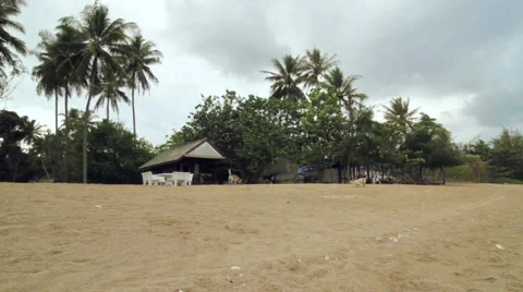 Dogs Playing on a Quiet Beach in the Background Stock Footage 66064828