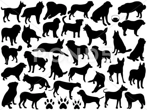 Dogs Silhouette Collage Stock Illustration